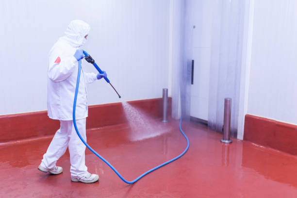 Best Roof Washing  in Mathews, VA